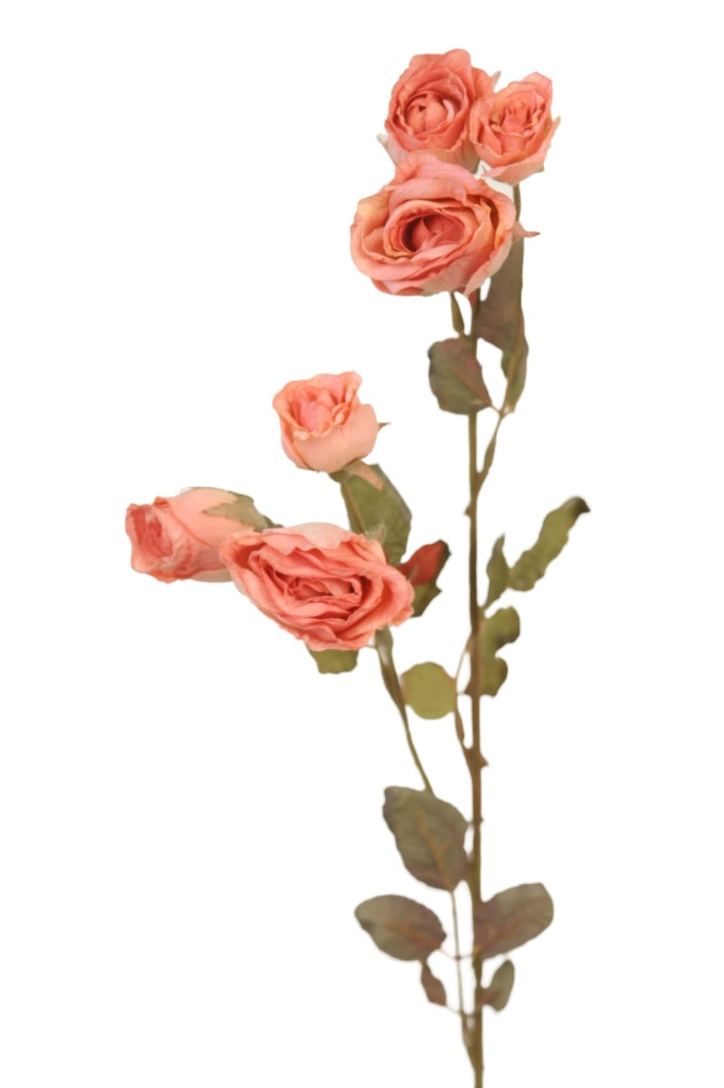 Distinctive Designs DS-09751-PK DRIED ROSE BUD SPRAY X6/ (Set of 12)