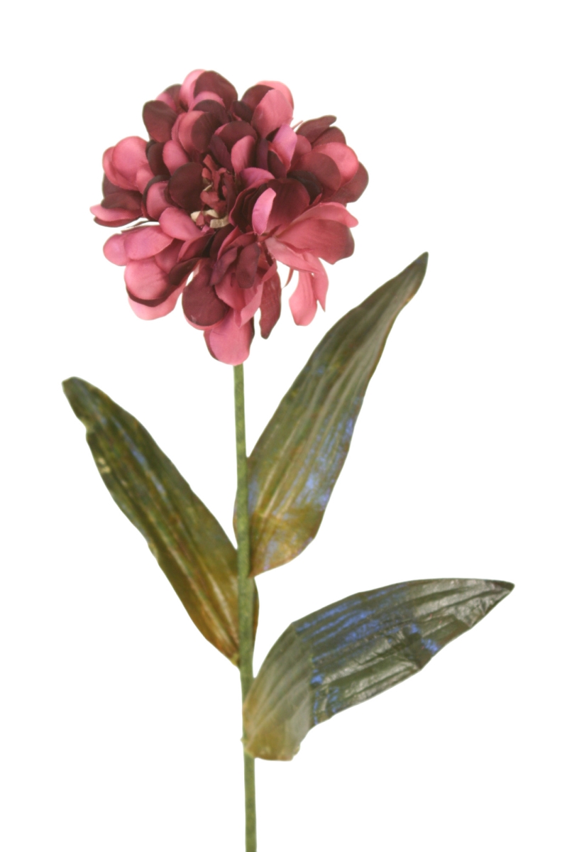 Distinctive Designs DW-1008-PL SINGLE ZINNIA - PLUM/ (Set of 12)