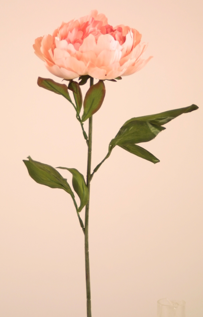 Distinctive Designs DP-841-DUPK SATIN SINGLE PEONY/ (Set of 12)