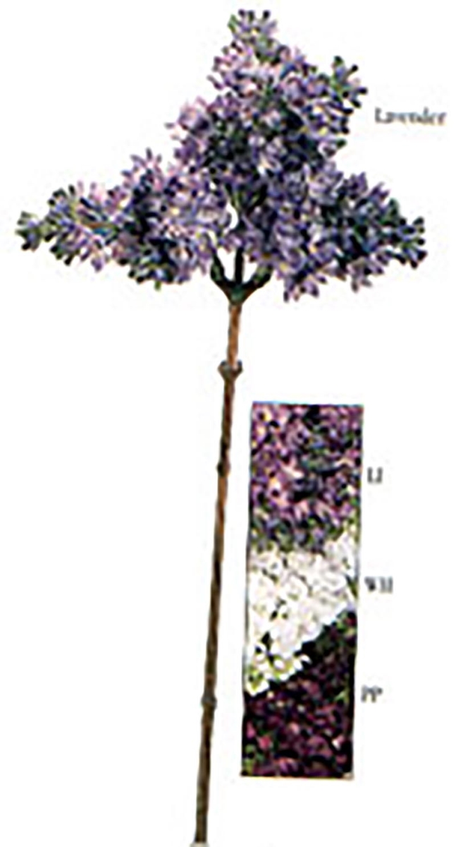 Distinctive Designs DR-835-LI 34'LILAC BRANCH W/4FLOWE/ (Set of 8)
