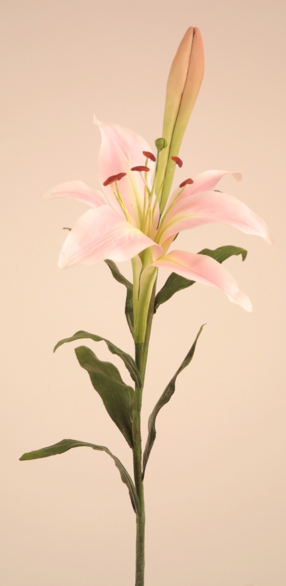 Distinctive Designs DW-1114-WHPK EASTER LILY W/BUD/ (Set of 12)