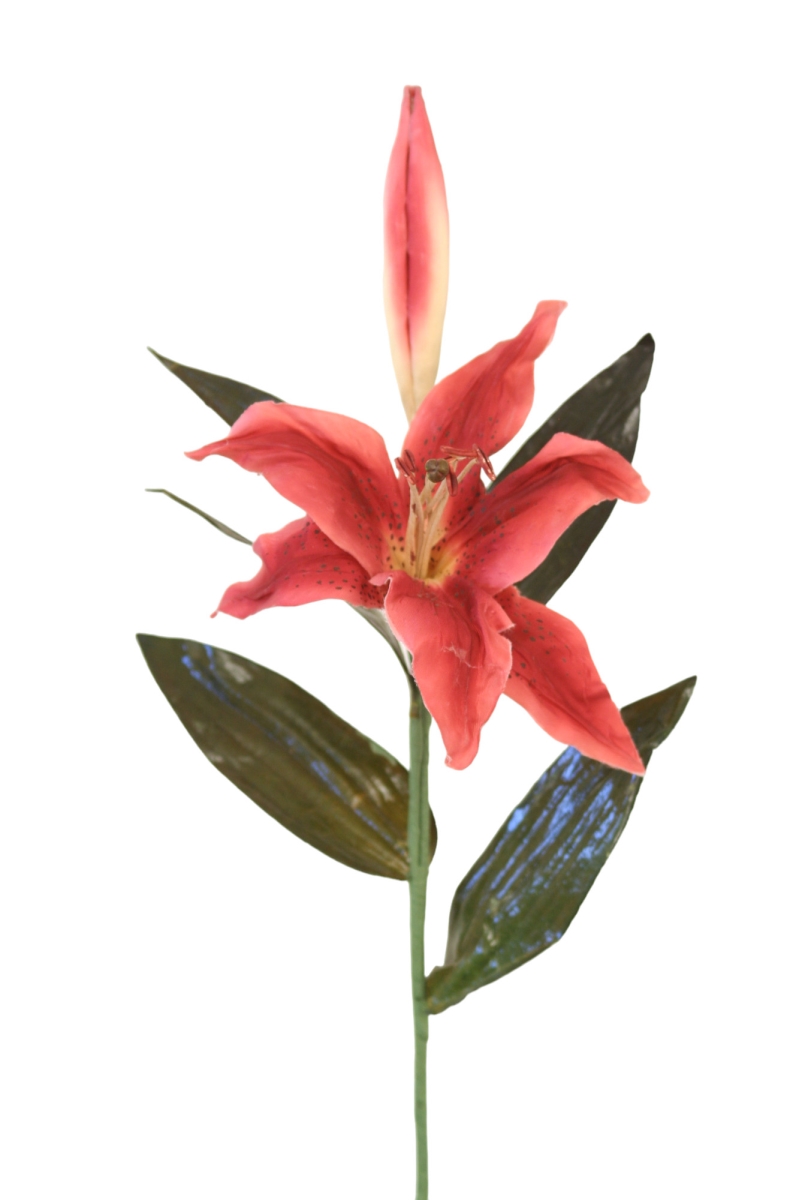 Distinctive Designs DW-1066-WLCZRD HAWAIIAN LILY W/BUD/ (Set of 12)