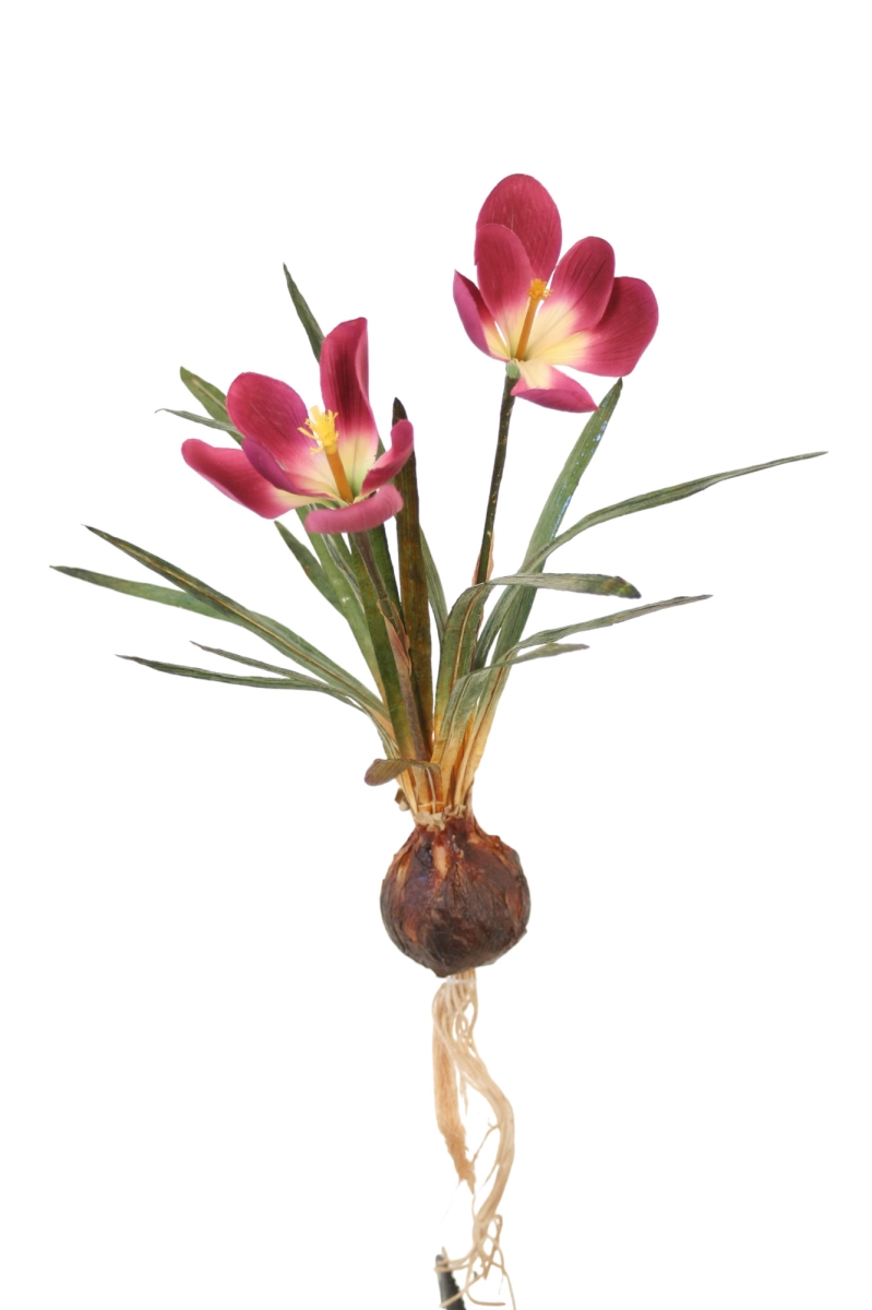 Distinctive Designs DW-1001-MA CROCUS PLANT - MAUVE/ (Set of 6)