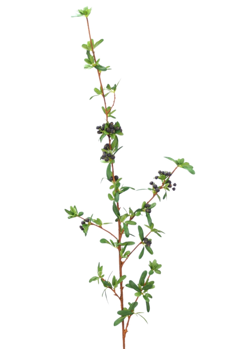 Distinctive Designs DL-836-BL FIRETHORN BERRY - BLUE/ (Set of 12)