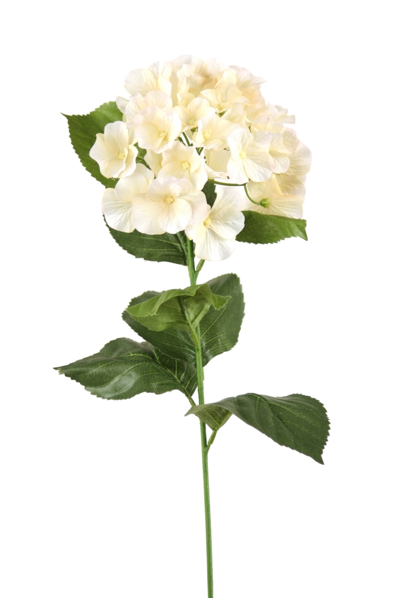 Distinctive Designs DR-844-CN SINGLE HYDRANGEA SPRAY/ (Set of 12)