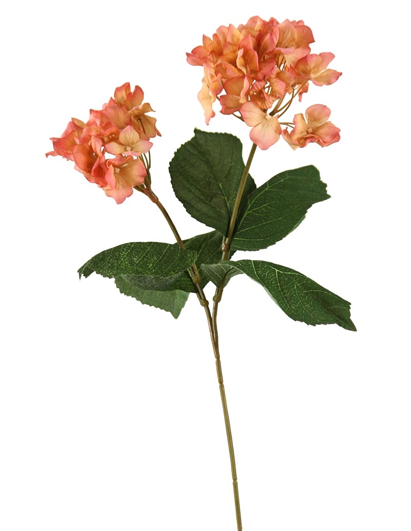 Distinctive Designs DP-800-BEPK HYDRANGEA X 2 W/5 LVS./ (Set of 12)