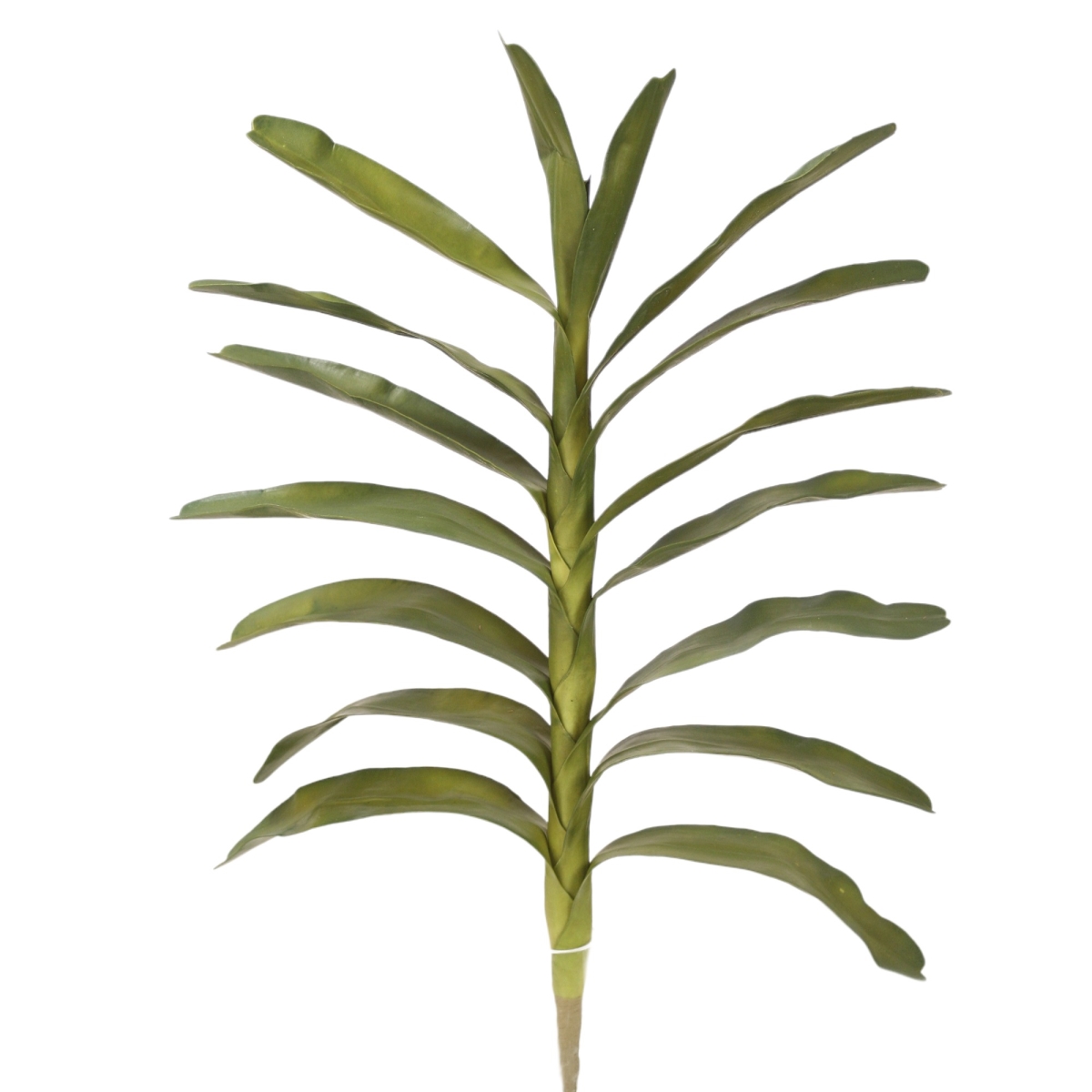 Distinctive Designs DW-1631Z LG.GREEN DENDROBIUM LEAF/ (Set of 6)