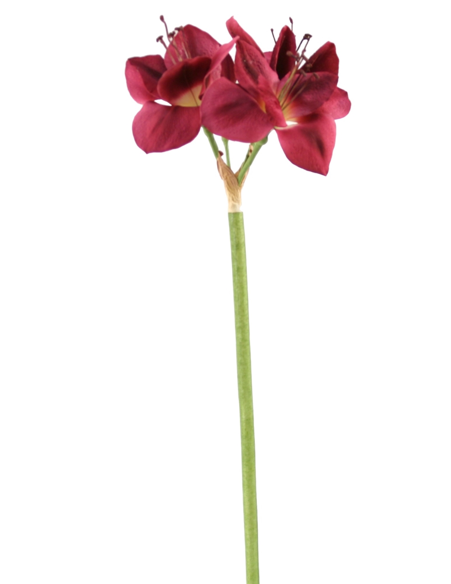 Distinctive Designs DW-1023-PL 26'AMARYLLIS X 3 W/BUD  PLUM/ (Set of 6)