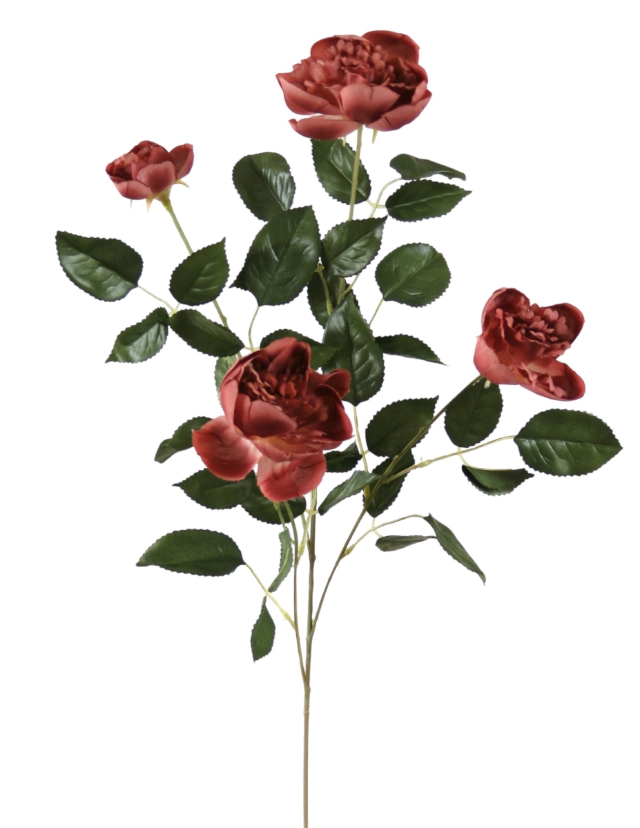 Distinctive Designs DK-480-PL LG CABBAGE ROSE X 4/ (Set of 12)