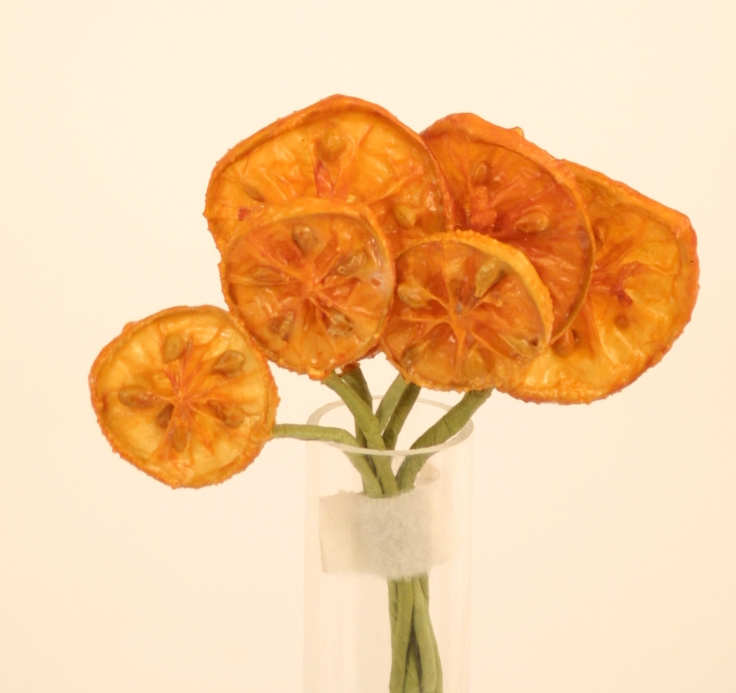 Distinctive Designs DW-160 SLICED ORANGE X 6/ (Set of 12)