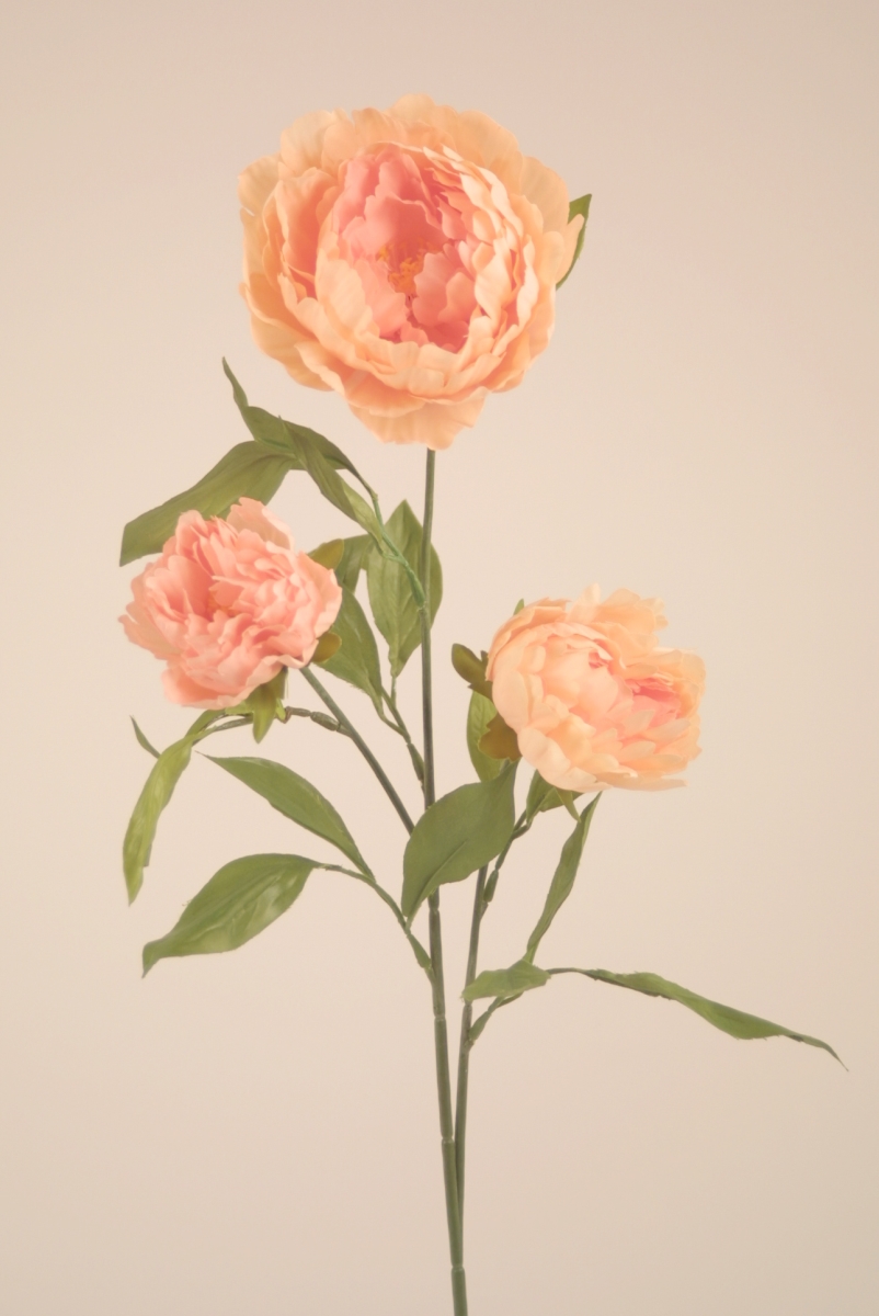 Distinctive Designs DP-832-DKPC PEONY SPRAY X 3/DK PEACH/ (Set of 12)