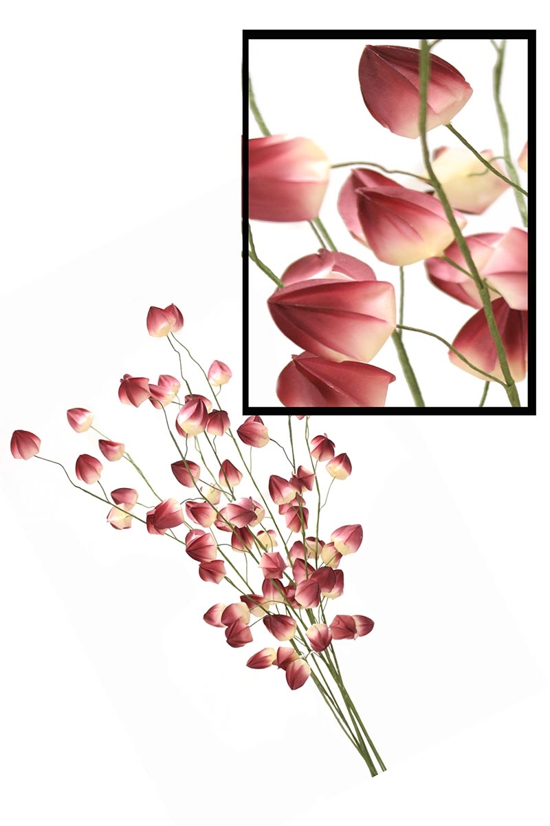 Distinctive Designs DW-882-PL CHINESE LANTERN/ (Set of 12)