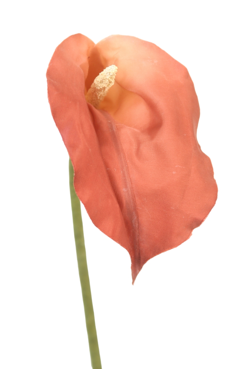 Distinctive Designs DW-872-MERU CALLA LILY/ (Set of 12)