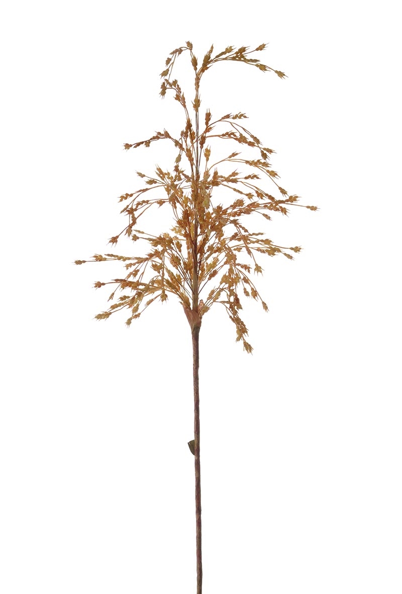 Distinctive Designs DG-242-GO WHEAT GRASS CLUSTER/ (Set of 12)
