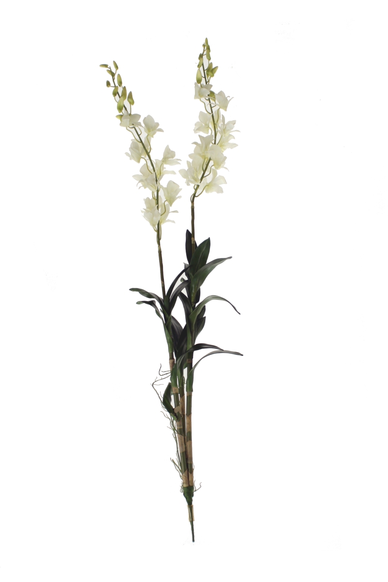 Distinctive Designs DI-769-WH DENDROBIUM ORCHID PLANT X 2/ (Set of 4)