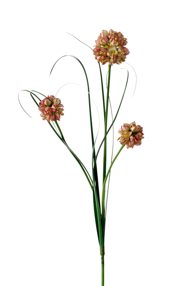 Distinctive Designs DI-696-MAGR ALLIUM SPRAY/ (Set of 12)