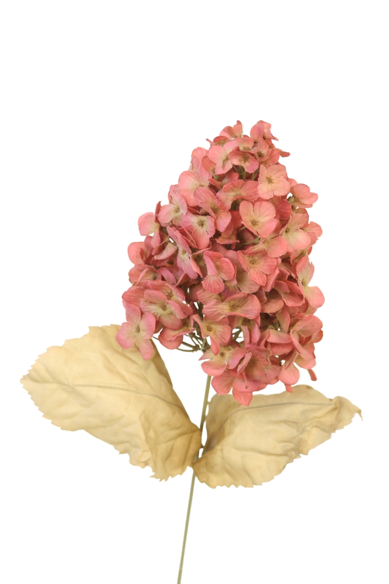 DR842BG Pointed Hydrangea