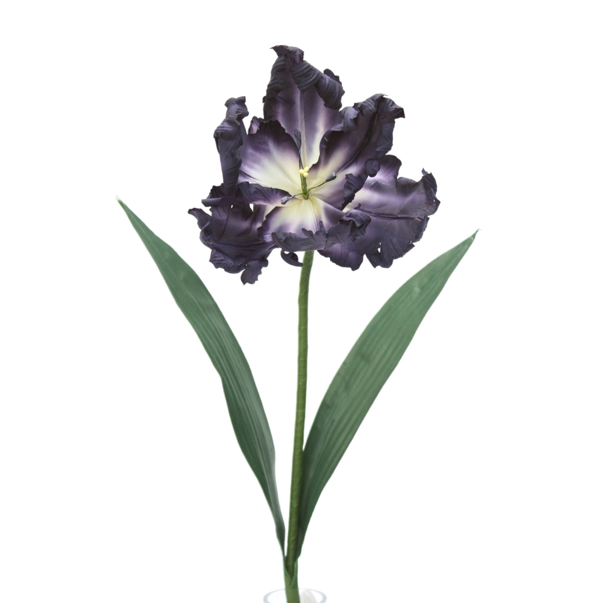 Distinctive Designs DW-853-NVBL TULIP, PARROT/ (Set of 12)