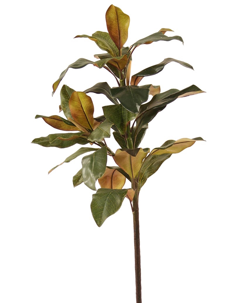 Distinctive Designs DG-799 43'MAGNOLIA BRANCH X 2/ (Set of 6)