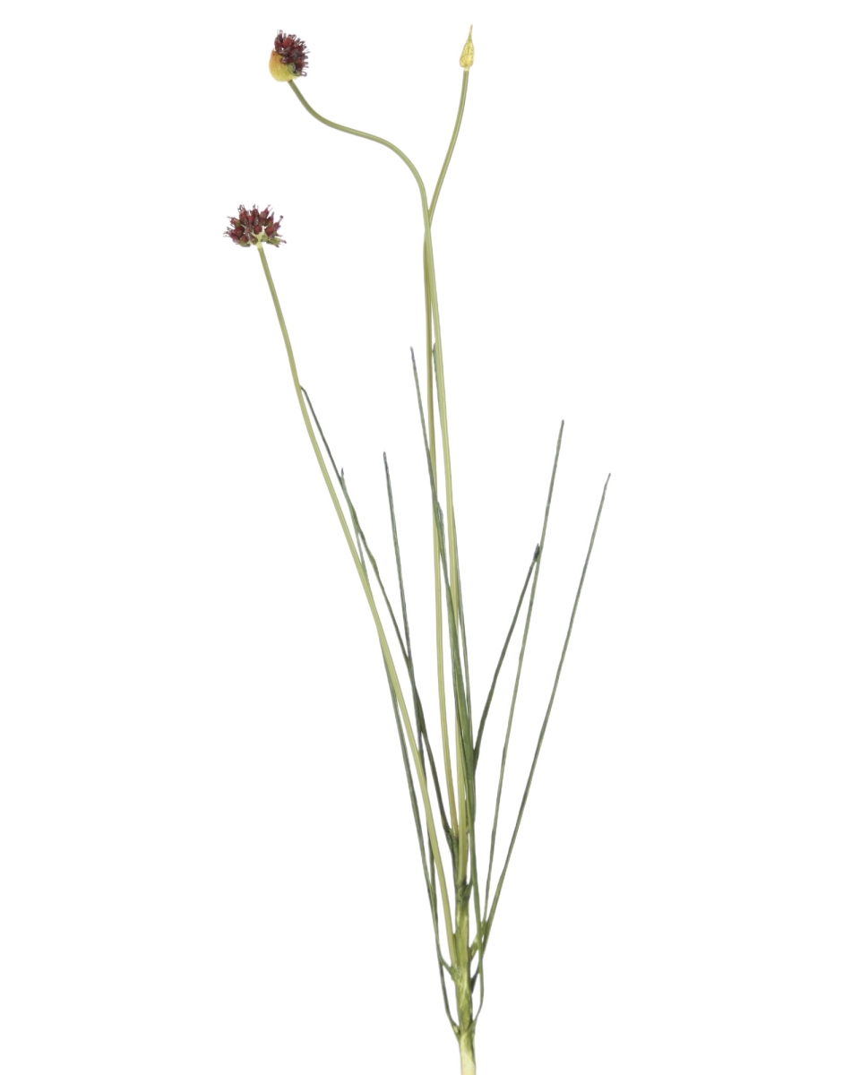 Distinctive Designs DI-687-BWGR 36' THISTLE X3 WITH GRASS/ (Set of 12)