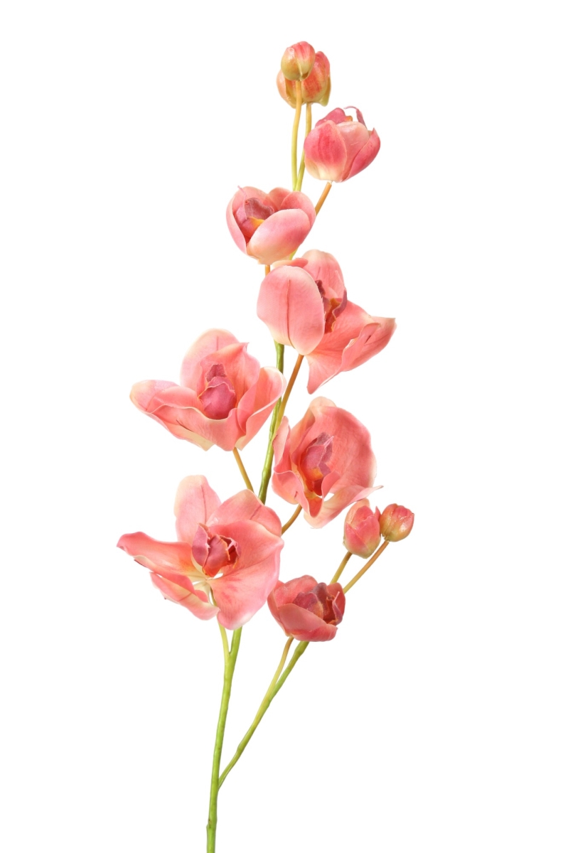 Distinctive Designs DS-8743-PK PHALAENOPSIS ORCHID/ (Set of 12)