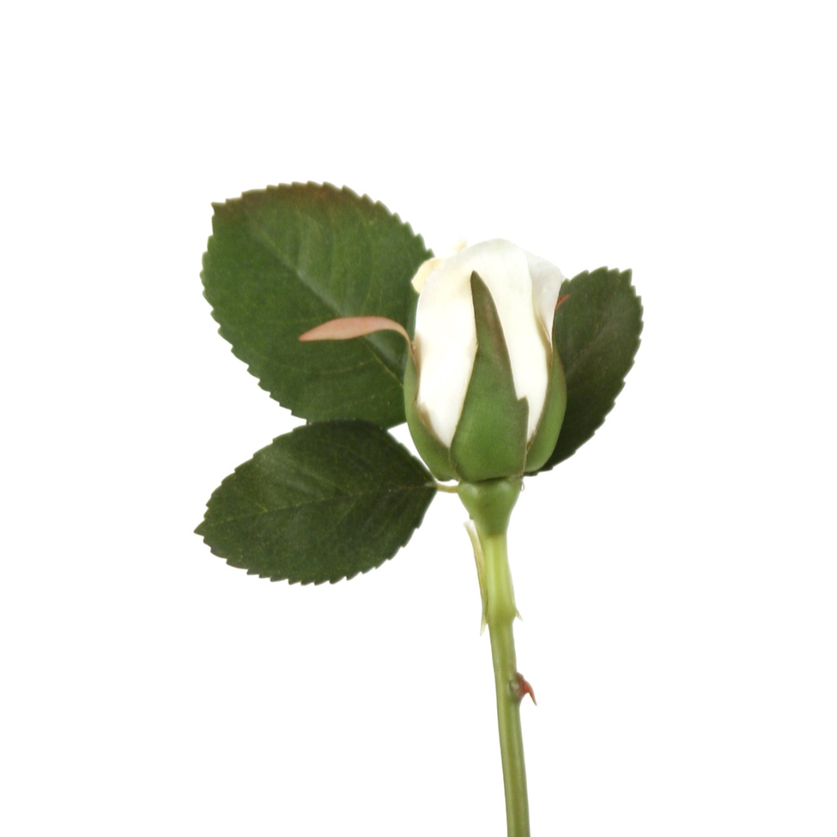 Distinctive Designs DI-724-BWWH SMALL ROSE BUD WITH 2 LEAVES/ (Set of 72)