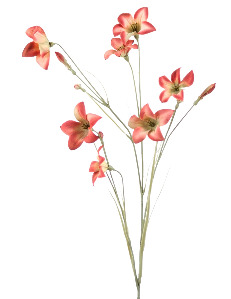 Distinctive Designs DH-447-DUMA WILD CAMPANULA - MAUVE/ (Set of 12)