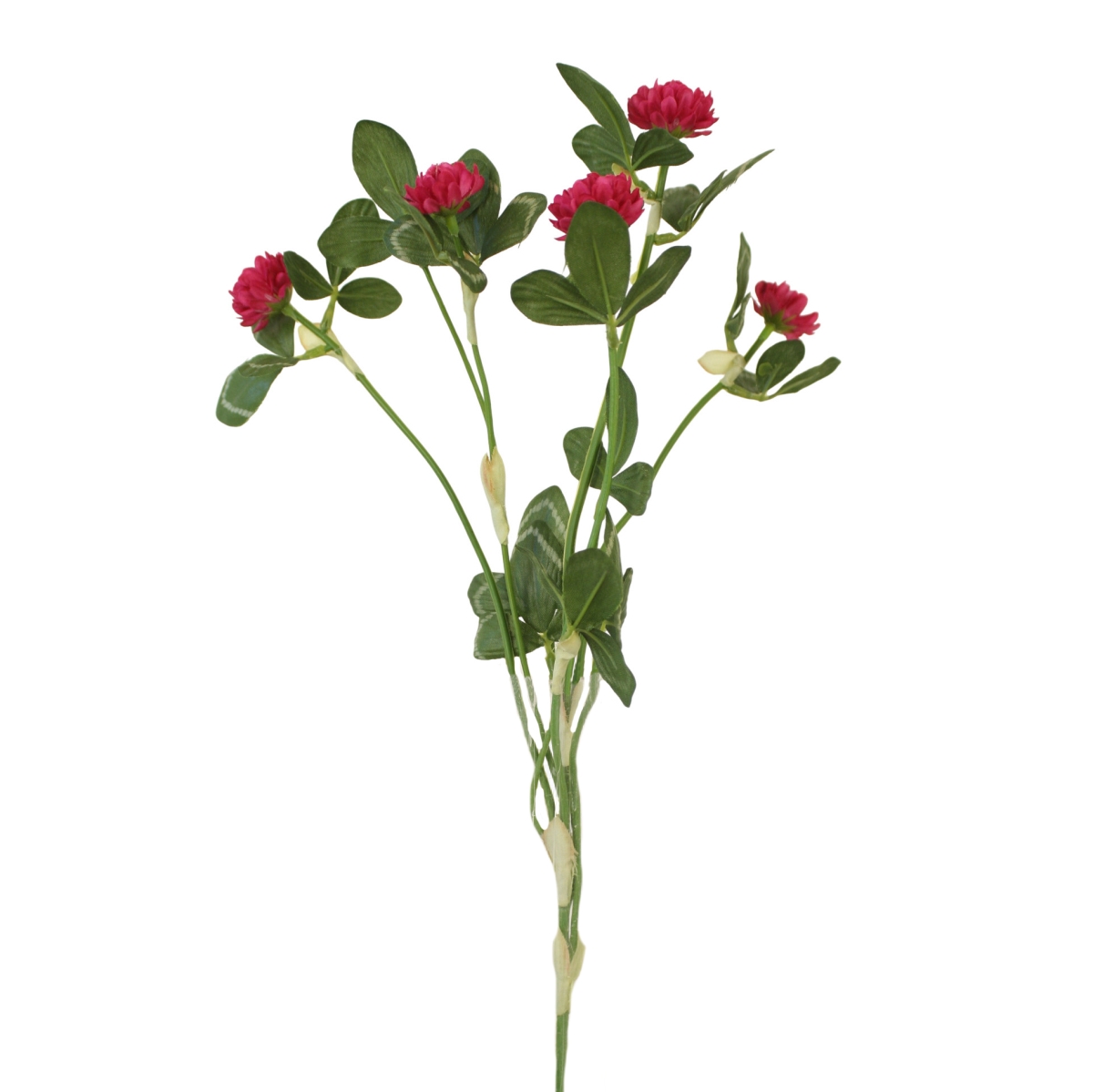 DJ-805FU Clover - Fuschia