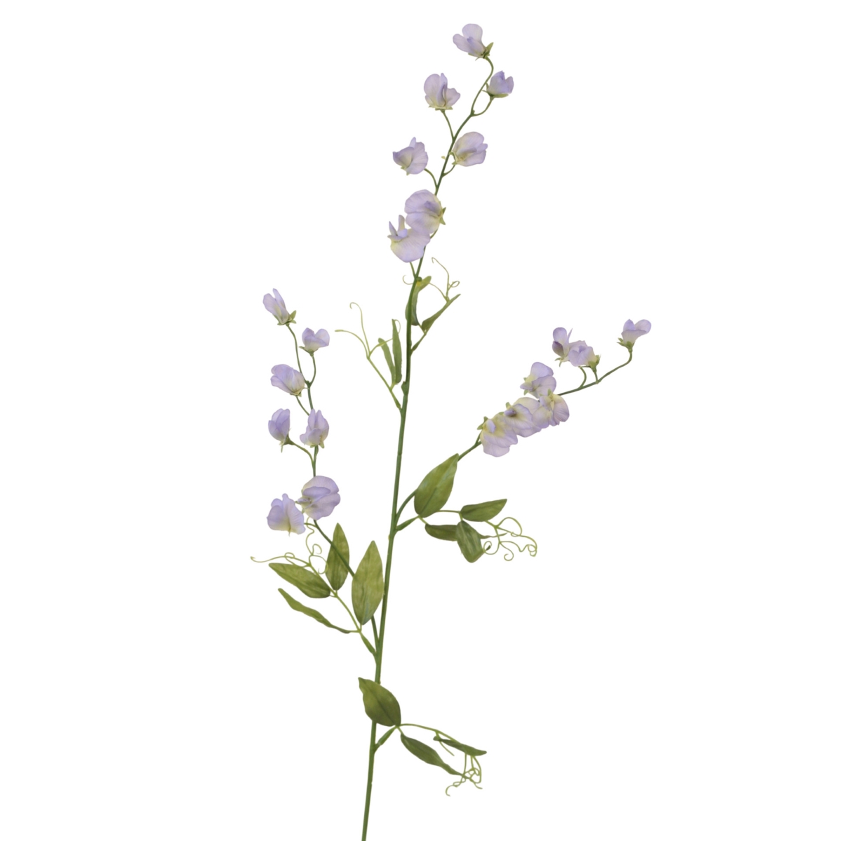 Distinctive Designs DJ-864-PWBL SWEETPEA - PERIWINKLE BL/ (Set of 12)