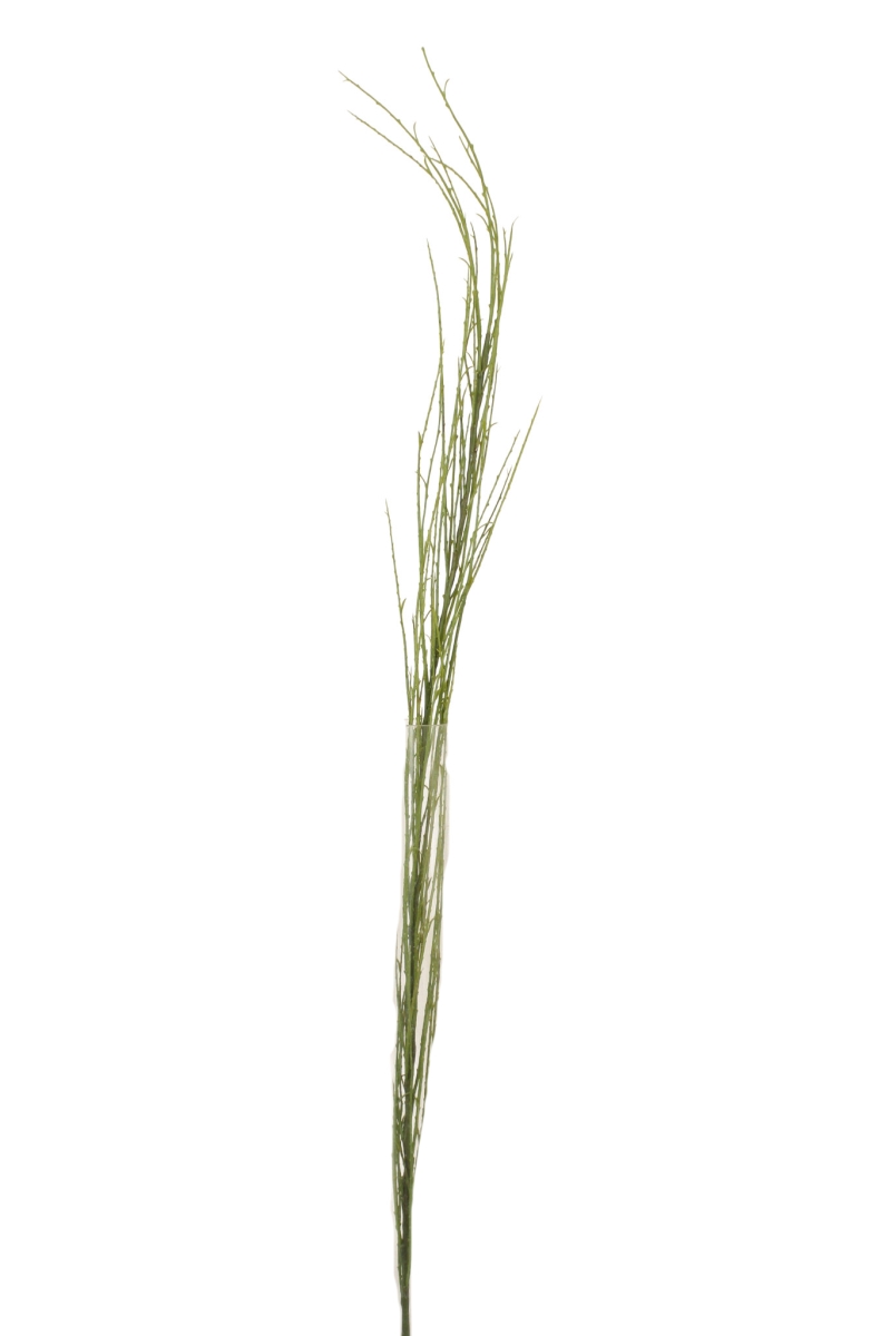 Distinctive Designs DG-283-LTGR 39' PLASTIC SCOTCH BROOM/ (Set of 24)