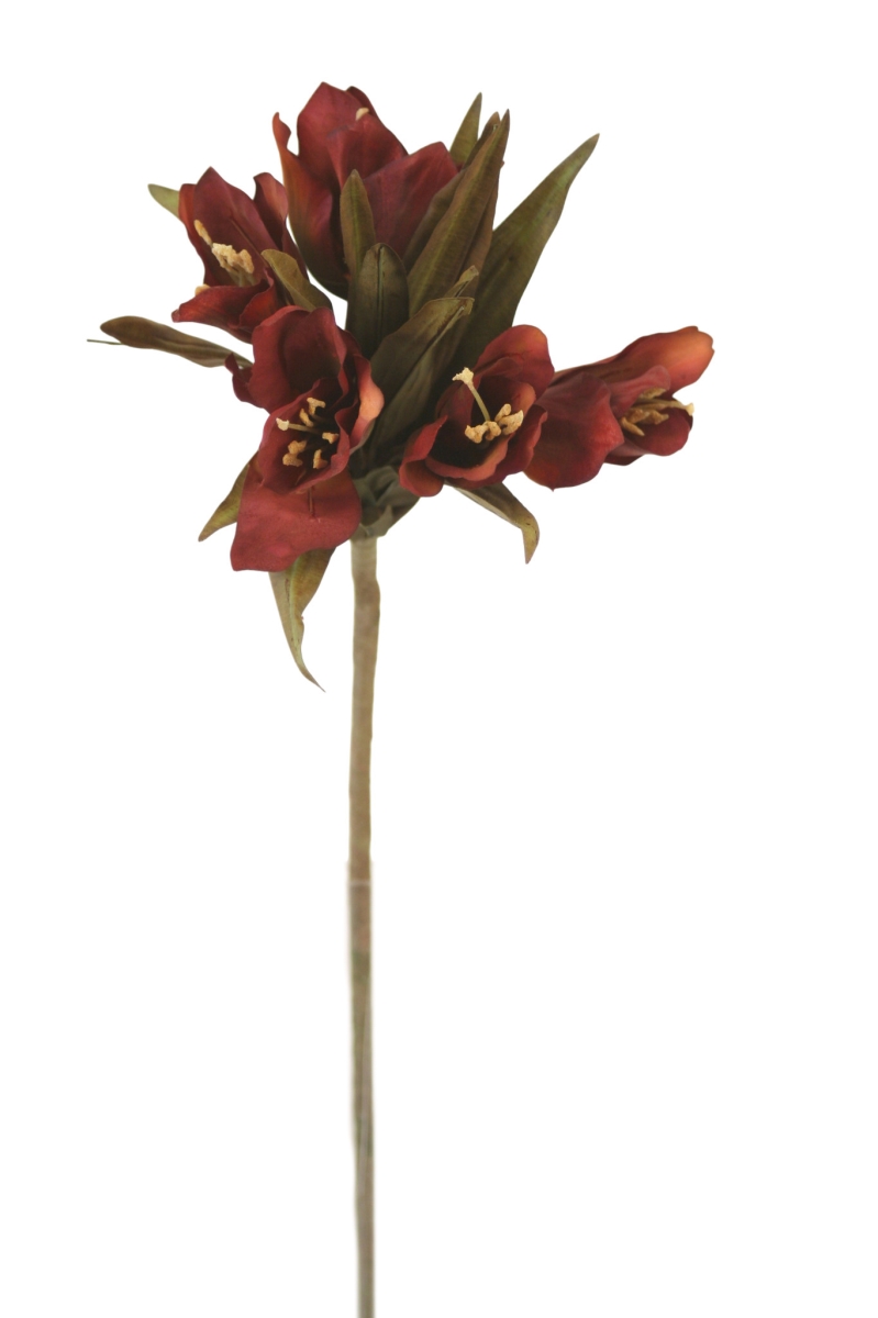 DS-9620BO Crown Imperial Burned Or