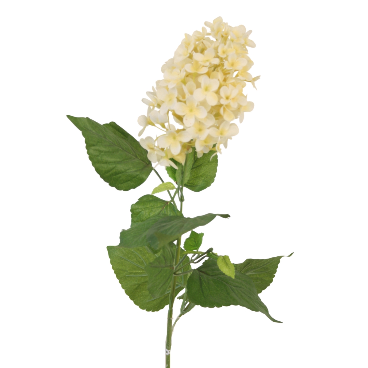 Distinctive Designs DR-837-CR CONE SHAPE HYDRANGEA X 1/ (Set of 12)