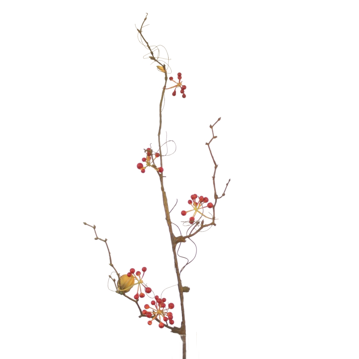 Distinctive Designs DW-1541-RD BERRY WITH LEAF SPRAY (36')/ (Set of 12)