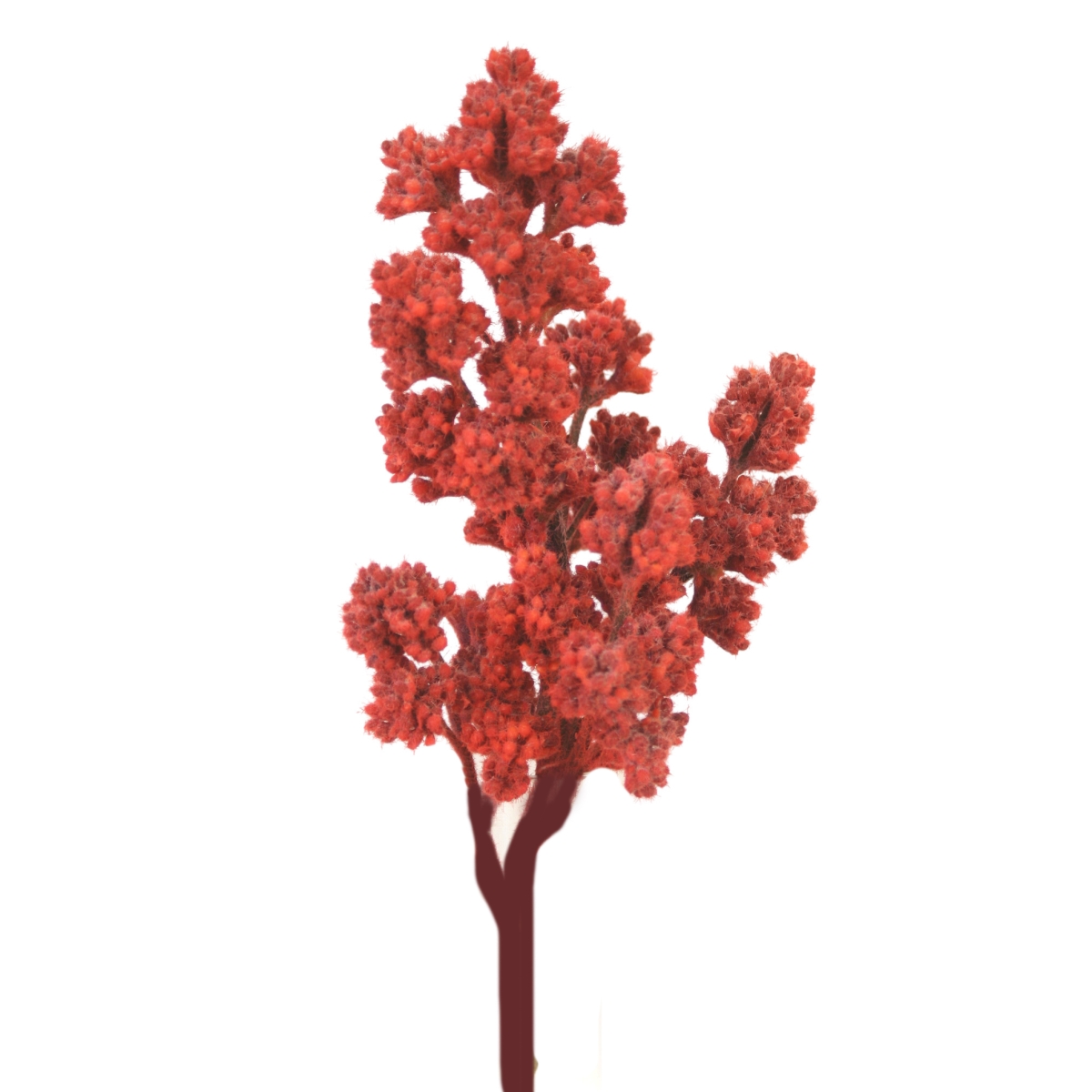 Distinctive Designs DI-708-RDOR VIRGINIA SUMAC/ (Set of 12)
