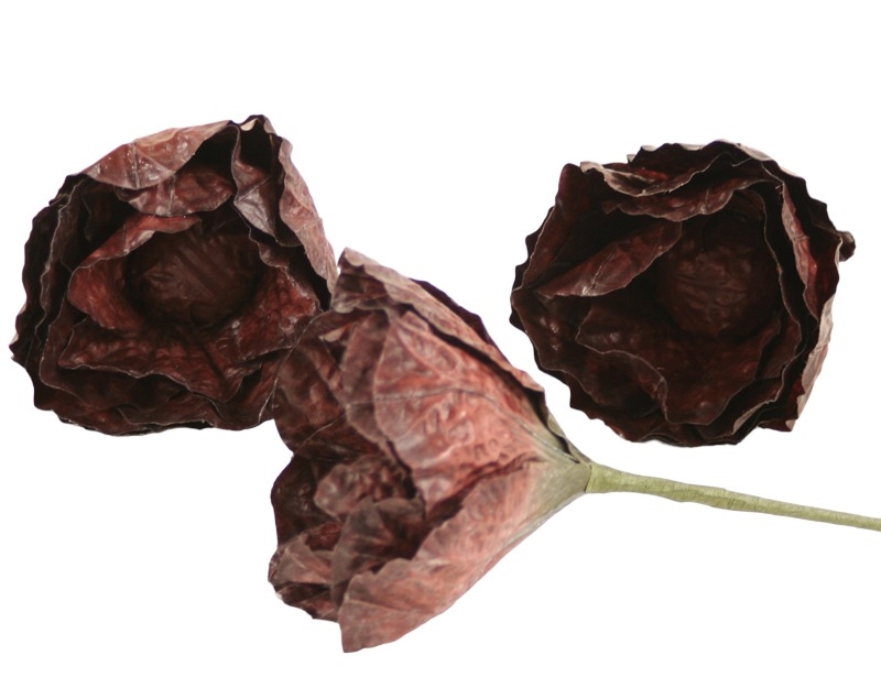 DW-164 LARGE ROCK CABBAGE-BURGUNDY (Set of 12)