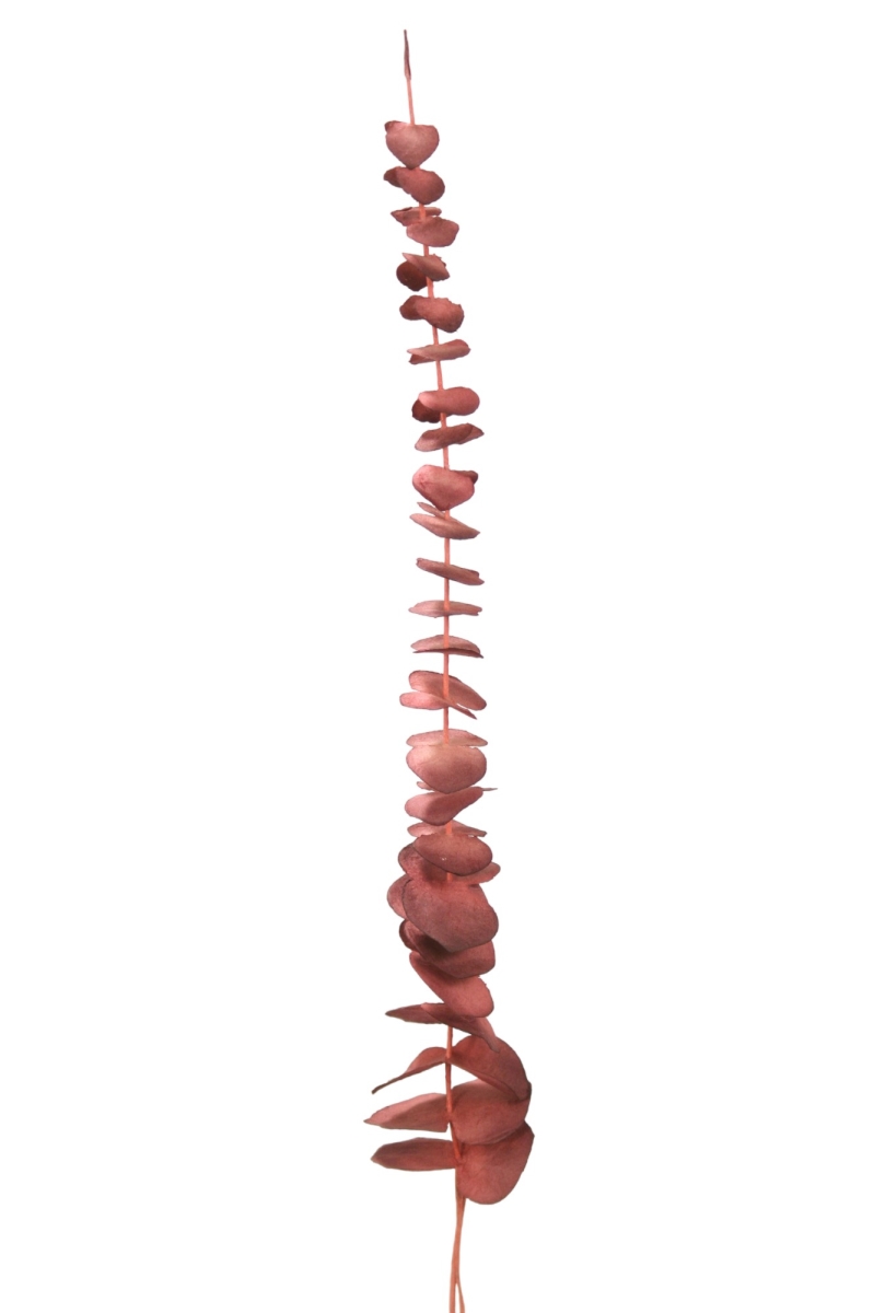 DW-955-TTRORD EUCALYPTUS -  TWO TONE  ROSE RED (Set of 6)