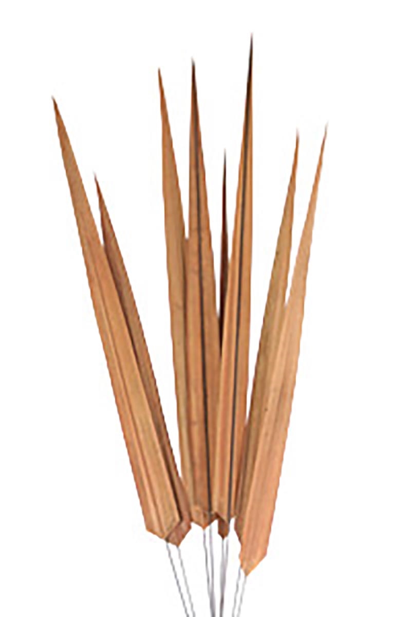 DW-1457-TA Decorative Natural Blade Bundle  Natural Stems for Vase & Home Dcor