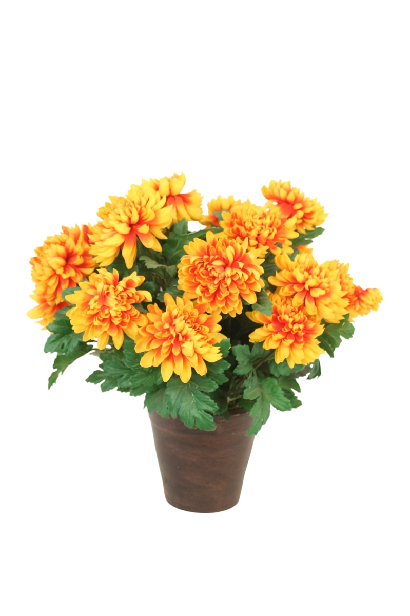 Distinctive Designs DDA-24-FL CHRYSANTHMUM BUSH X 9/ (Set of 6)