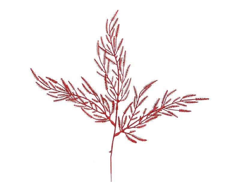 XS-108-RD RED GLITTERED CYPRESS SPRAY (24 Pieces)