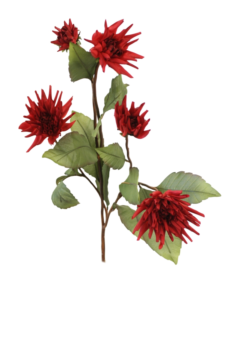 DK-846 DAHLIA - BURGUNDY   (Set of 6)