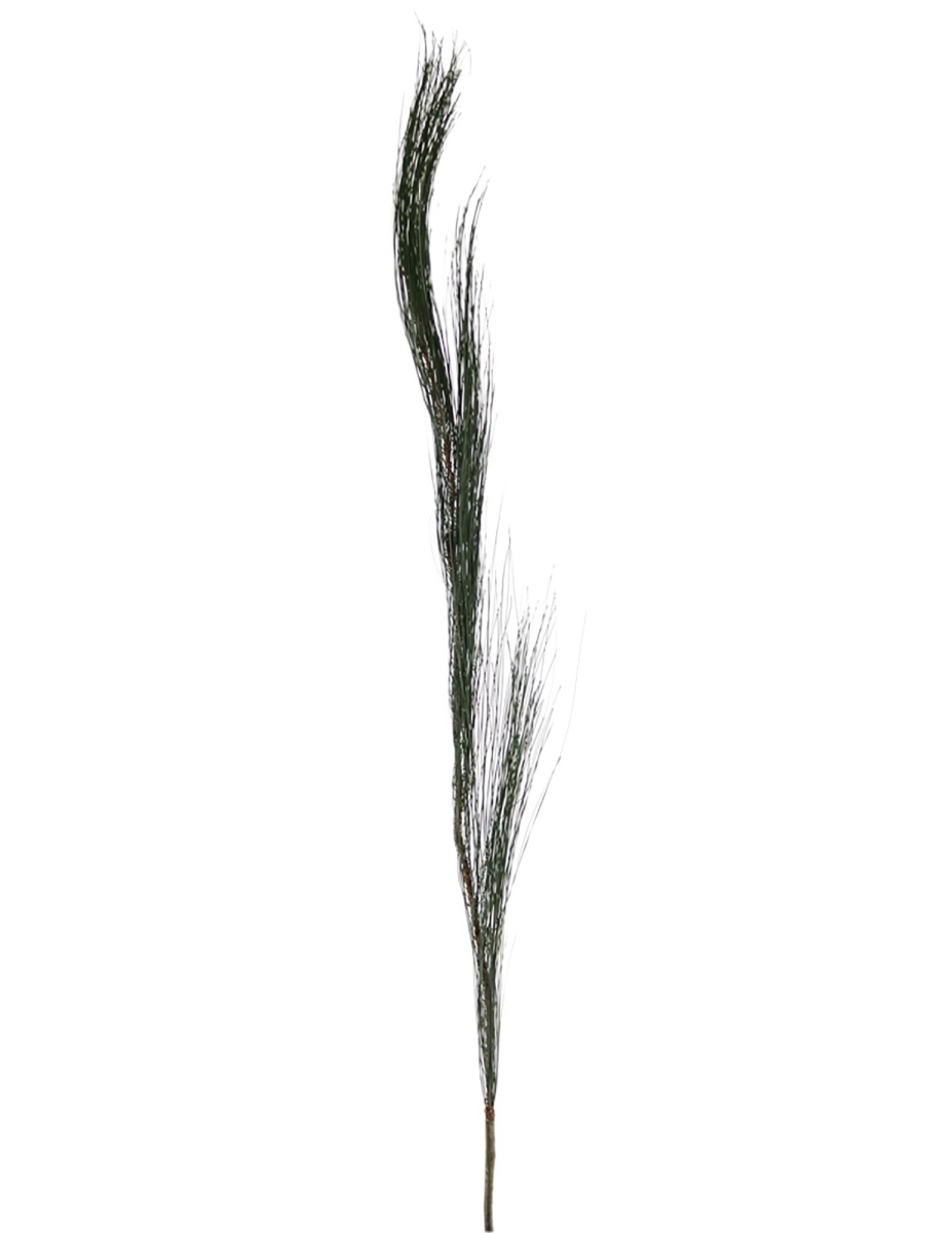 DG-229-DKGR 52' STEPPE GRASS - DARK GREEN (layered grass )