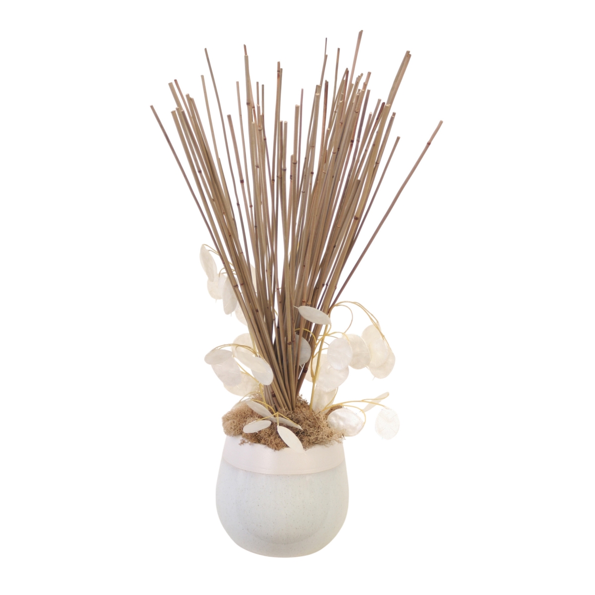 30162 Mayan Reeds and Money Plant in Ceramic Planter