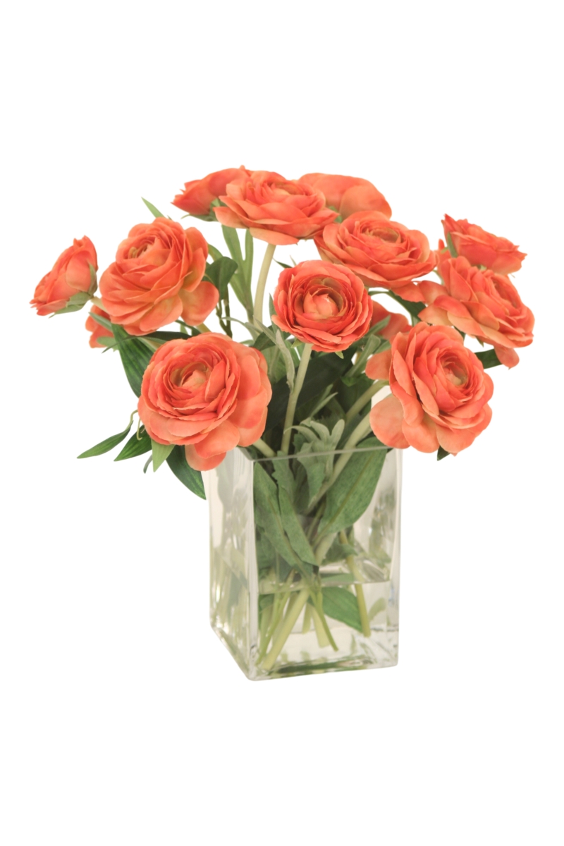 17435 Coral Ranunculus in Glass