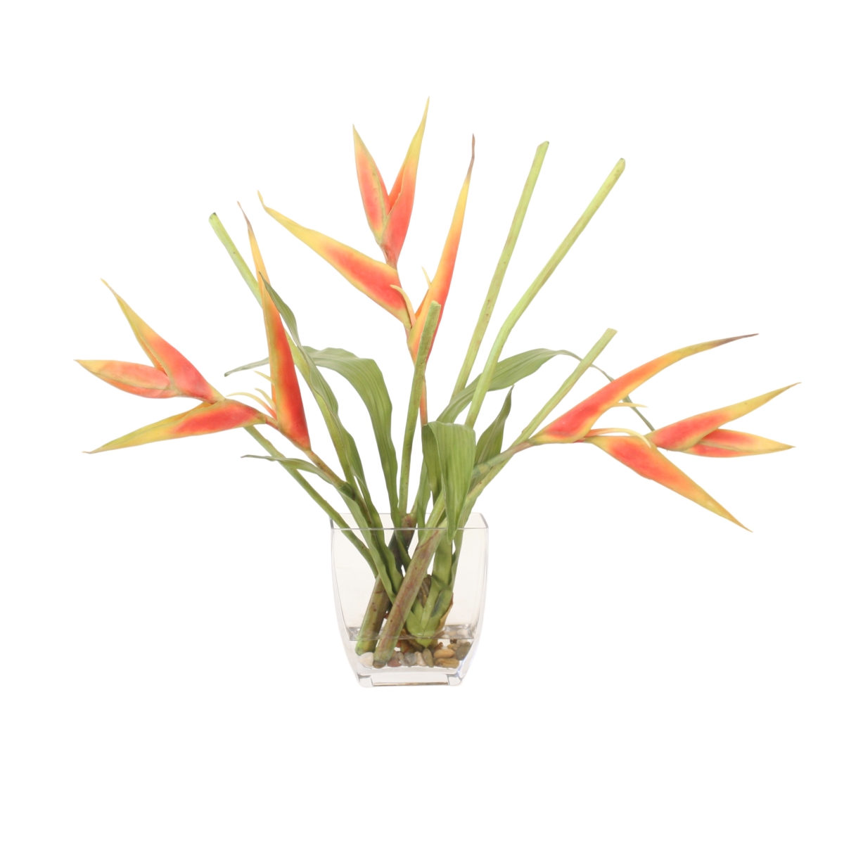 17438 Dark Rose Heliconia in Narrow Vase