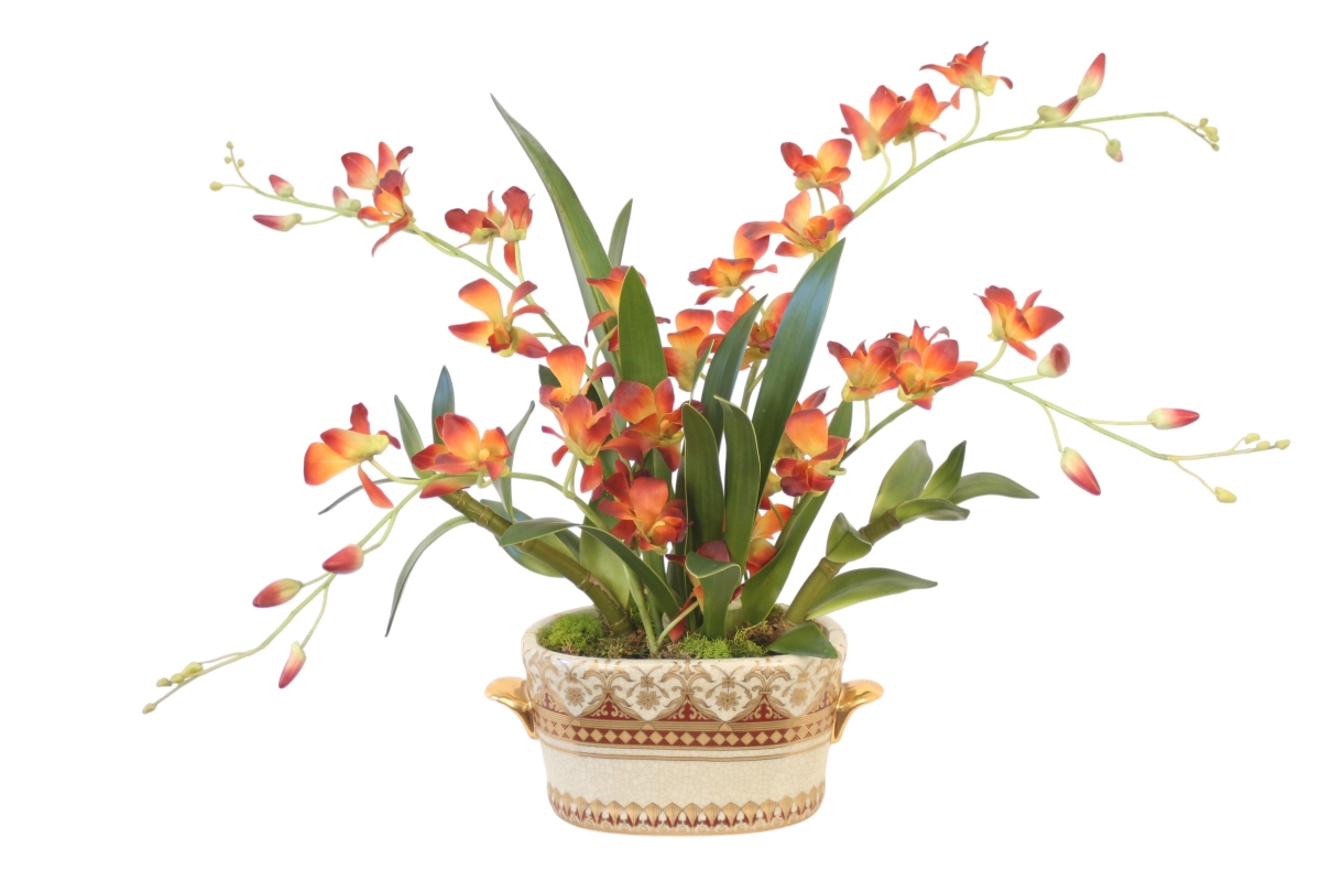 30158 Dendrobium Orchids in Oval Porcelain