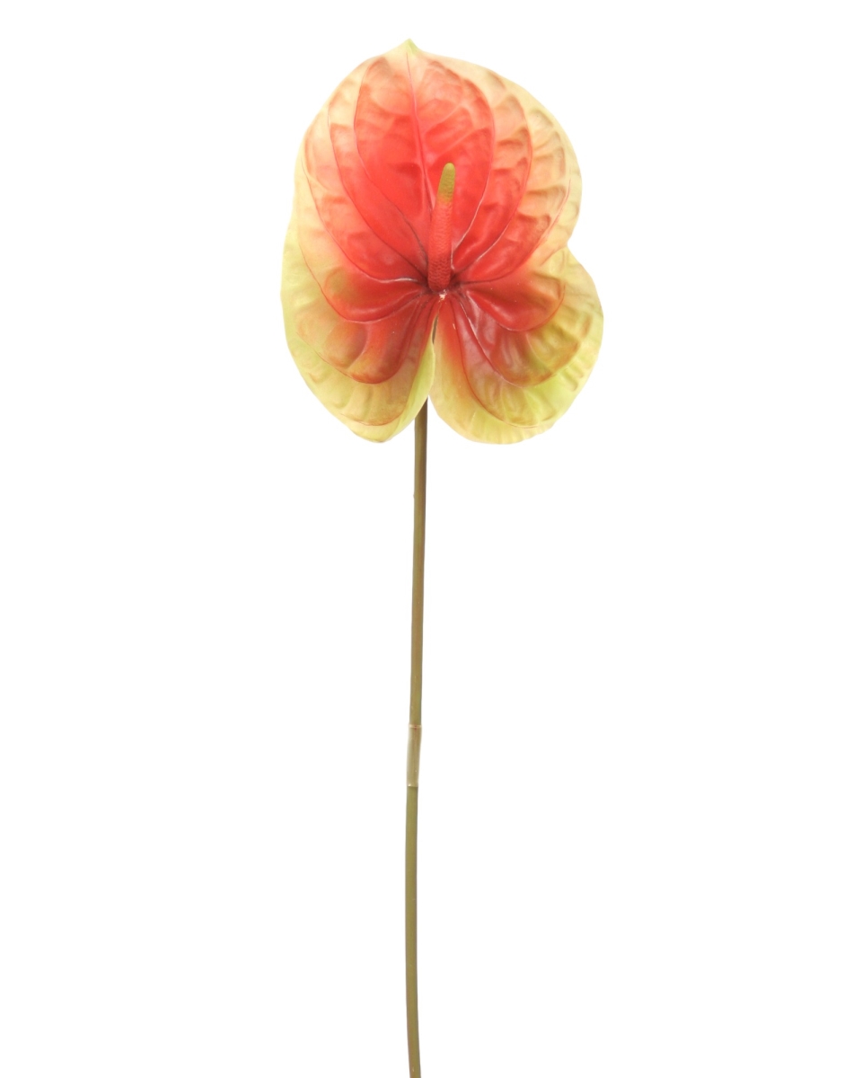 DI-643-RDGR 27' Anthurium Stem (Set of 12)