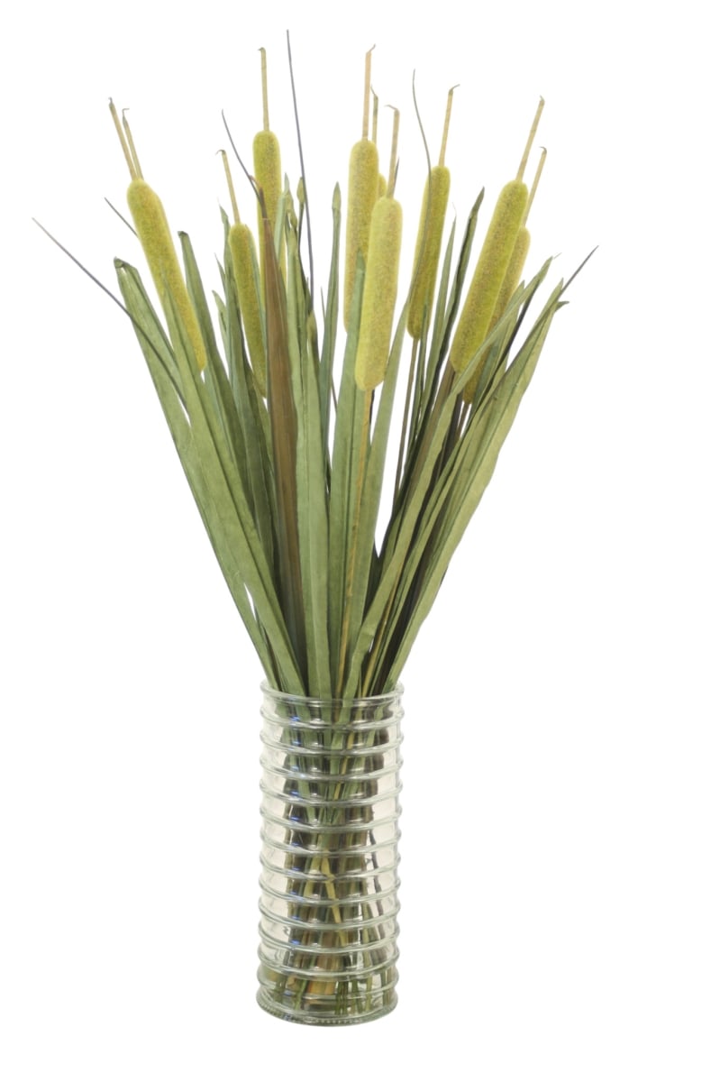 17459 Cattails in Ribbed Cylinder