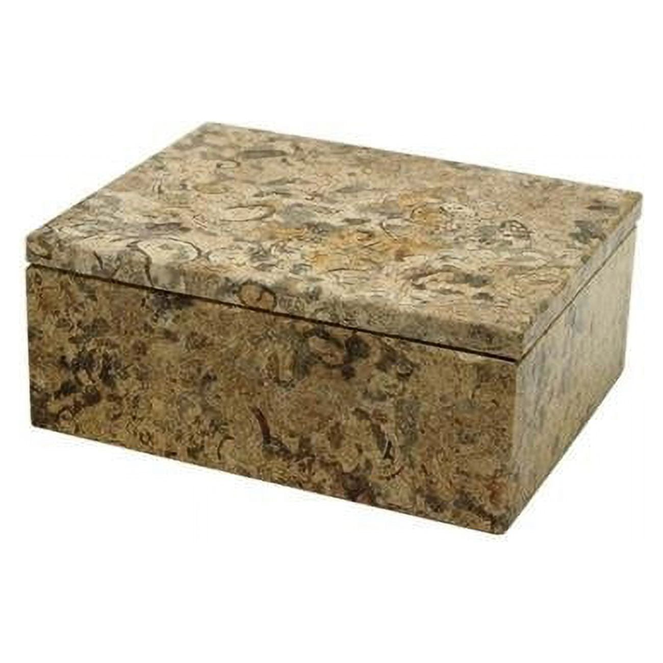 BX45-FS 5 in. Rectangular Asteria Keepsake Box, Fossil Stone -  Marble Crafter