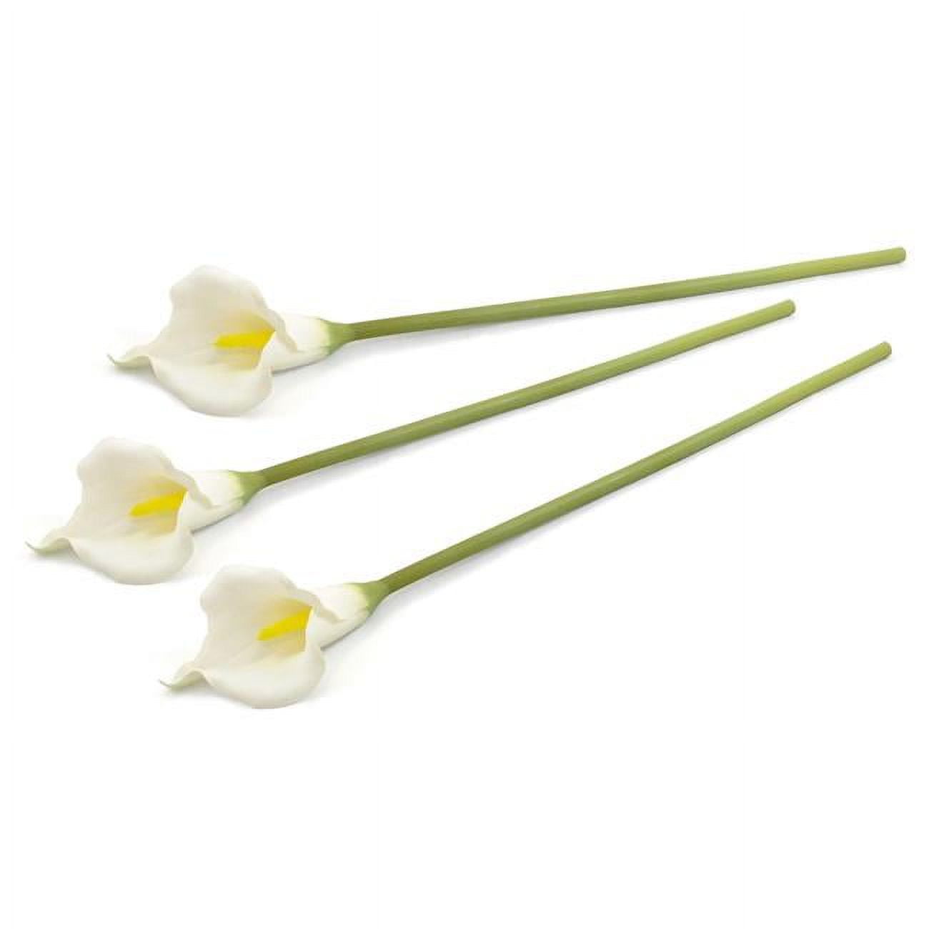 Picture of Design Imports FLOWER CALA LILY White Set of 3