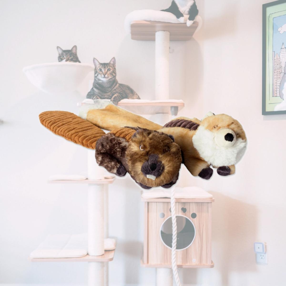 Picture of Design Imports CAMZ38185 Beaver & Fox Plush Squeaker Pet Toy - Set of 2